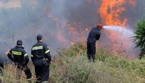 Πυρκαγιά ξέσπασε το βράδυ της τετάρτης στην περιοχή της νέας ευκαρπίας στη θεσσαλονίκη. Pyrkagia Se 3era Xorta Sth Nea Eykarpia Skopelos Tv Skopelosnews