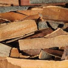 Image result for Cinnamomum