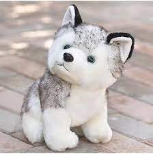 Pin On Husky Dog