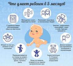 Chto Umeet I Dolzhen Umet Rebenok V 5 Mesyacev
