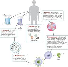 Controlling Car T How Scientists Plan To Make The