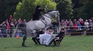 Pin By Rochelle G On Horses And Riders Show Jumping Horses Eventing Horses Horses