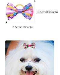 Amazon.com: 50pcs Dog Hair Accessories Cute Butterfly Cat Dog Hair Bows  With Rubber Bands Dog Grooming Bows For Small Pets hair accessories  halloween christmas party dress up : Pet Supplies
