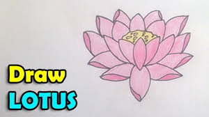 How To Draw National Flower Of Step By Step Is So Famous But Why How To Draw National Flower Of Flower Step By Step Flower Drawing Flower Drawing For Kids