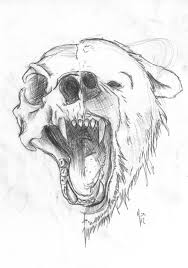 Bear Sketch Tumblr Bear Sketch Art Pencil Drawings Of Animals