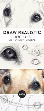 Pin By Lindsey Meiers On Aussies In 2021 Pencil Portrait Realistic Drawings Dog Drawing