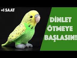 Tn8hjap7 34dxm