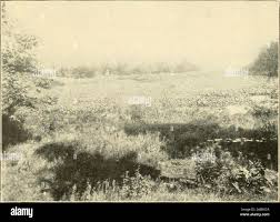 Willard park hi-res stock photography and images