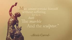 Hd Wallpaper Alexis Carrel Wallpaper Quote Motivational Sculpture Statue Wallpaper Flare