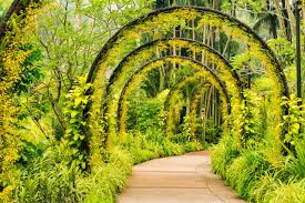 Things to do near national orchid garden. Best Orchid Gardens In The World To Visit