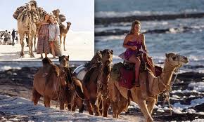 Palm spring is a resort for mineral springs, ski resorts, golf courses, palm trees, and the great desert. Almost 37 Years After Robyn Davidson Took Four Camels Across The Australian Desert Her 2 700 Km Journey Finally Comes To The Screen In Tracks Starring Mia Wasikowska Daily Mail Online