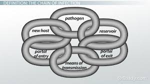 chain of infection definition example