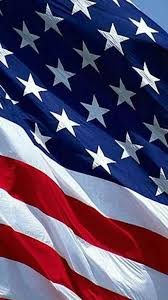 Freie kommerzielle nutzung keine namensnennung top qualität. Die 240 Besten Ideen Zu Amerikanische Flagge Amerikanische Flagge Flaggen Weisskopfadler