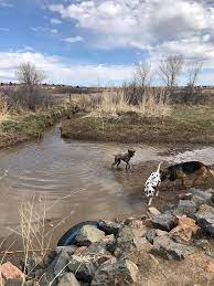 Whether you want to visit denver on foot, by bike, or with the abundance of available public transport options, you'll have the entire city at your. Cherry Creek State Park Off Leash Area Home Facebook