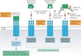 Image result for TNF Inhibitor