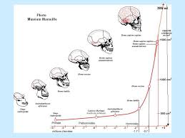 Evolutionmodel And Friends Ygraph Com