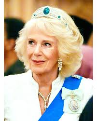 King Charles, Queen Camilla and Prince William attend reception for The  Diplomatic Corps at Windsor Castle