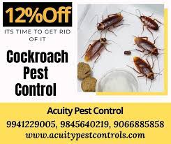 We are into service from almost 8 years having a very rich experience in this keep kitchens clean: Best Cockroach Control Service In Bangalore Pest Control Cockroach Control Pests