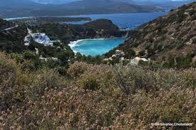 Τρώγονται τηγανισμένα και πολλοί τα θεωρούν εκλεκτό μεζέ. Ta3idiwtikos Odhgos Krhths Krhtikos Ebenos