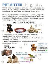 I provide pet sitting for cats and dogs. 9 Ideias De Pet Sitter Pet Sitter Lembranca Pet Curso Banho E Tosa