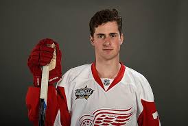 July 30, 1996 birth place: Red Wings Star Dylan Larkin Up For Last Men In For All Star Game