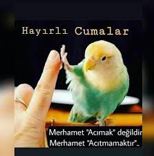 Mustafa Adli Kullanicinin Cuma Mesajlarim Panosundaki Pin Dualar Ozlu Sozler Mesajlar