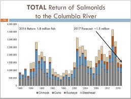 96 So Far Chinook A Low Show In Columbia River Poor