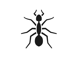 Welcome to diamond pest elimination inc. Pest Control Fly Tech Extermination Pest Control