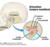 Dysfonction de l'articulation temporo-mandibulaire | CHU de ...