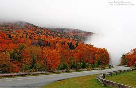 Fall In Roan Mountain Tn Mountain States State Parks Visit Nashville