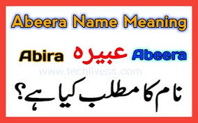 Abeera Name Meaning In Urdu And English In 2020 Names With Meaning Girl Names With Meaning Muslim Boy Names