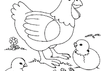 Mewarnai gambar mewarnai gambar sketsa hewan ayam 1. Contoh Gambar Mewarnai Ayam Dengan Crayon Kataucap
