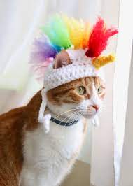 Pin On Crochet For Pets