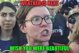 Funny memes that get it and want you to too. Triggered Liberal Latest Memes Imgflip