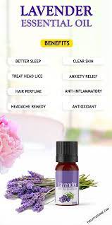 Lavender Essential Oil Benefits And Uses Lavender Essential Oil Benefits Lavender Oil For Skin Lavender Oil Benefits