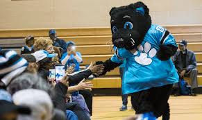 Umbc also once had a live mascot named campus sam. Sir Purr Home Carolina Panthers Panthers Com