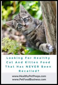 Looking For Healthy Cat And Kitten Food That Has Never Been Recalled Healthy Pet Peeps