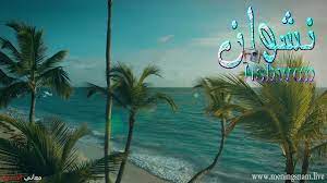 معنى اسم نشوان وصفات حامل هذا الإسم nshwan plants