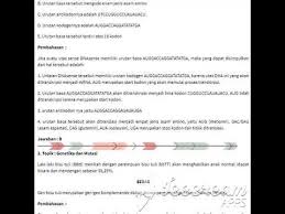 Aug 16, 2021 · contoh soal sbmptn verbal dan pembahasan.kami akan memberikan contoh prediksi soal test sbmptn untuk kategori yang ketiga selain tpa, tkdu dalam pemilihan jurusan yang tepat bagi anda untuk kumpulan soal dan pembahasan sbmptn kategori saintek, soshum dan campuran, untuk. Soal Soal Sbmptn Dan Pembahasan Pdf Peranti Guru
