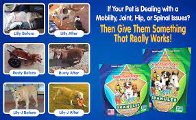 Maybe you would like to learn more about one of these? Amazon Com Nzymes Sprouted Granules 2lbs For Dogs Cats Horses And Companion Pets Raw Super Food Protein And Antioxidant Nutrition 220 Servings Made In The Usa Pet Supplies