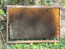 52 La Rotation Des Cadres De Corps Miel Et Abeilles En Touraine Abeille Ruche Abeille Apiculture