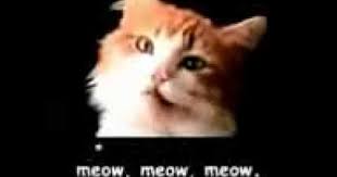 Awwww The Meow Mix Jingle Renember When They Finally Translated All The Meows For Us Humans I Think It Went I Want Tuna I Wan Tv Commercials Meows Cats