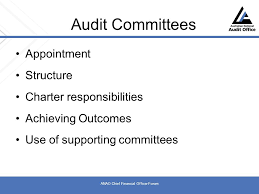 Discover the many roles and responsibilities of a cfo and how your cfo can further help achieve your company's target growth, traction, and roi.check out. Australian National Audit Office Chief Financial Officer Forum Results Of The Financial Statement Audits Ppt Download