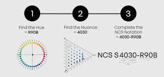 Completed over 2,000 hours of neurologic clinical practice while working with individuals who have neurologic dysfunction. Ncs Inside Ncs Colour
