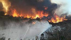 Türkiye'de 2019 yılında 2 bin 688 orman yangın çıktı. Zxzhh1ntbhq67m