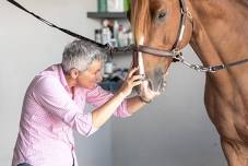 Bit & Bridle Fittings with Stephanie Brown Beamer
