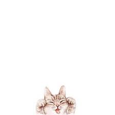 Nur Rulita Putri Adli Kullanicinin Wallpaper Panosundaki Pin Kedi Sanati Hayvan Fotografciligi Sanat