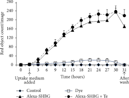 Shbg count in serum also decreased significantly which probably explains the increase in free t. Sex Hormone Binding Globulin Modifies Testosterone Action And Metabolism In Prostate Cancer Cells