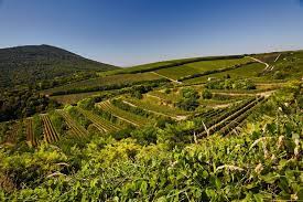 Pin On What To Visit In Hungary