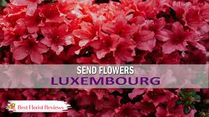 23231 where services will be held thursday, june 3, at 2 p.m. 6 Best Options To Send Flowers To Luxembourg Bestfloristreview